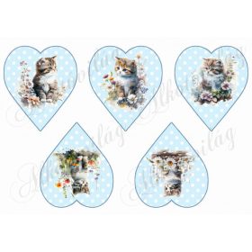 Cuki cicák virágokkal pöttyös szíveken