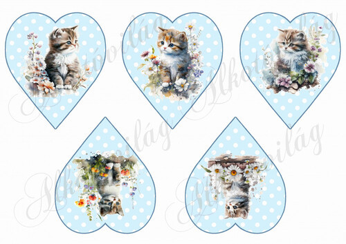 Cuki cicák virágokkal pöttyös szíveken