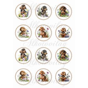   Cuki tacskó kutyusok virágokkal csavart körökben - KICSIBEN