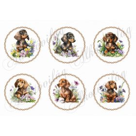 Cuki tacskó kutyusok virágokkal csavart körökben