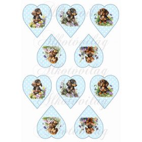   Cuki tacskó kutyusok virágokkal pöttyös szíveken - KICSIBEN