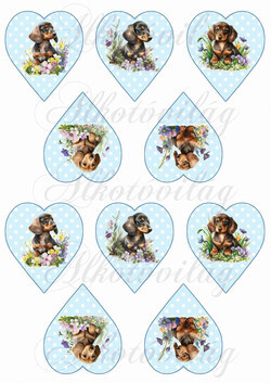 Cuki tacskó kutyusok virágokkal pöttyös szíveken - KICSIBEN