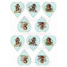   Cuki tacskó kutyusok virágokkal pöttyös szíveken - ZÖLD KICSI