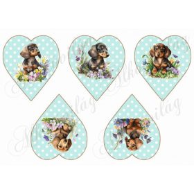   Cuki tacskó kutyusok virágokkal pöttyös szíveken - ZÖLD