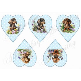 Cuki tacskó kutyusok virágokkal pöttyös szíveken