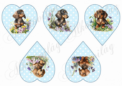 Cuki tacskó kutyusok virágokkal pöttyös szíveken