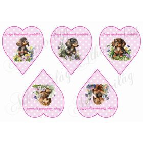   Cuki tacskó kutyusok virágokkal rózsaszín alapon fehér pöttyös szíveken - DRÁGA UNOKÁMNAK SZERETETTEL FELIRATAL