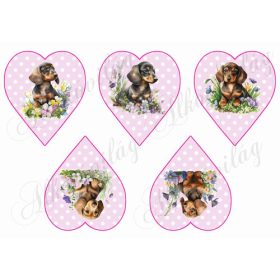   Cuki tacskó kutyusok virágokkal rózsaszín alapon fehér pöttyös szíveken