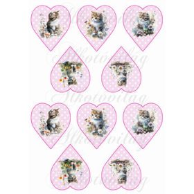   CUKI KÉZZEL FESTETT CICÁK VIRÁGOKKAL RÓZSASZÍN ALAPON FEHÉR PÖTTYÖS SZÍVEKEN - KICSIBEN