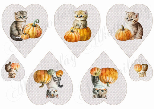 Cuki cicák tökökkel drapp szíveken