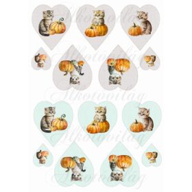 Cuki cicák tökökkel drapp és pasztell zöldes szíveken