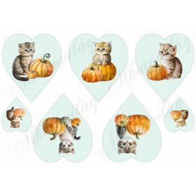 Cuki cicák tökökkel pasztell zöldes szíveken