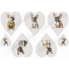 Francia bulldog kutyusok drapp szíveken