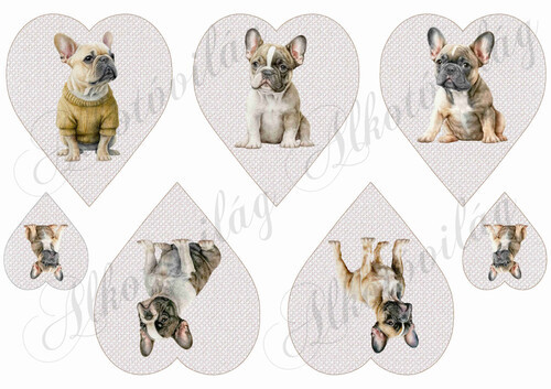 Francia bulldog kutyusok drapp szíveken