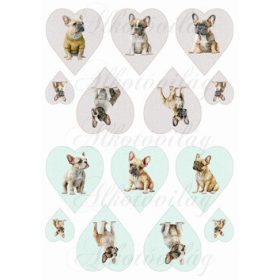 Francia bulldog kutyusok pasztell zöld és drapp szíveken