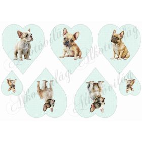 Francia bulldog kutyusok pasztell zöldes szíveken