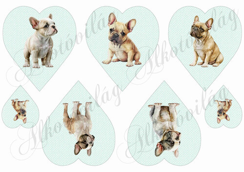 Francia bulldog kutyusok pasztell zöldes szíveken