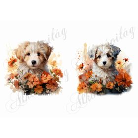   Bolognese, hawanese kutyusok virágokkal 3 - kb. 15 x 14,5 cm