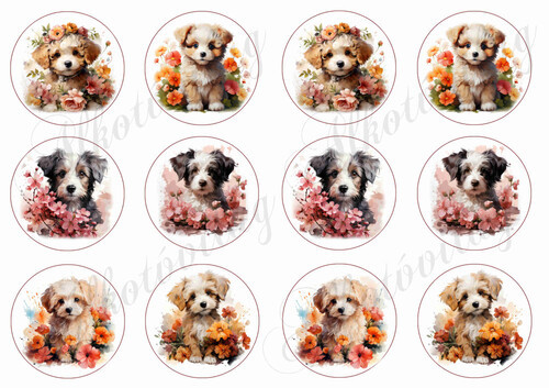 Bolognese, hawanese kutyusok virágokkal 6 cm körökben