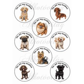   Cuki kutyusok You are my sunshine felirattal 7cm-es körökben 2