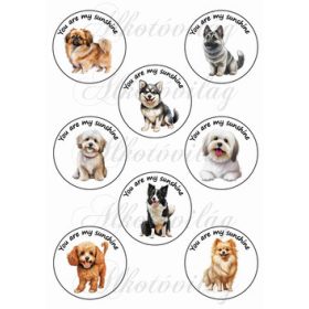   Cuki kutyusok You are my sunshine felirattal 7cm-es körökben