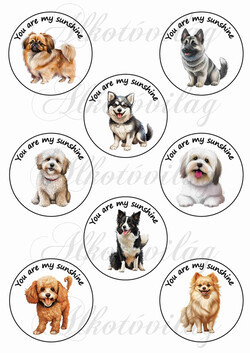 Cuki kutyusok You are my sunshine felirattal 7cm-es körökben