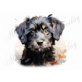 Bolognese, hawanese kutyus 3 - kb. 18 x 19 cm