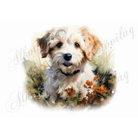 Bolognese, hawanese kutyus 8 - kb. 18 x 19 cm