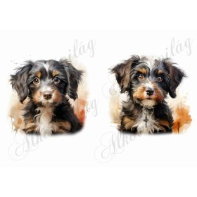 Bolognese, hawanese kutyusok - kb. 15 x 14,5 cm