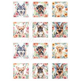 Kutyusok virágokkal 5,5  x 5,5 cm-es négyzetekben