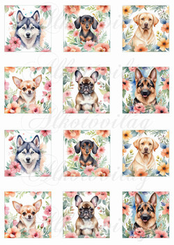 Kutyusok virágokkal 5,5  x 5,5 cm-es négyzetekben