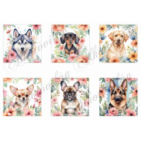 Kutyusok virágokkal 8 x 8 cm-es négyzetekben