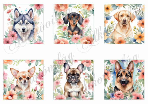 Kutyusok virágokkal 8 x 8 cm-es négyzetekben