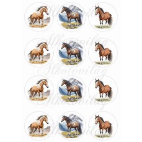 Lovak 6 cm-es körökben