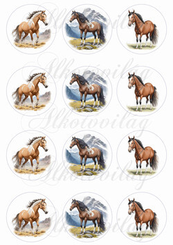 Lovak 6 cm-es körökben