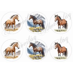 Lovak 9 cm-es körökben