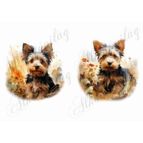 Yorkie kutyusok 2 kb. 15 x 14,5 cm