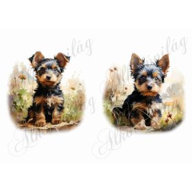 Yorkie kutyusok kb. 15 x 14,5 cm