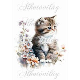 Cuki cica akvarell stílusban festve 1