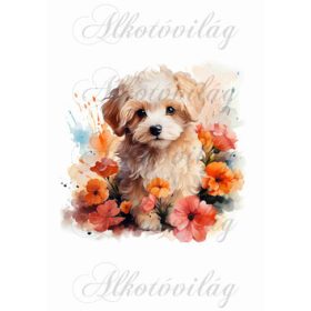 Bolognese, hawanese kutyus virágokkal - kb. 17,5  x 18 cm