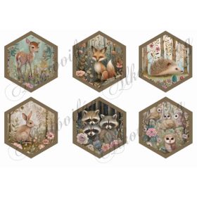 Erdei állatkák hexagonokban 9,5 x 8 cm