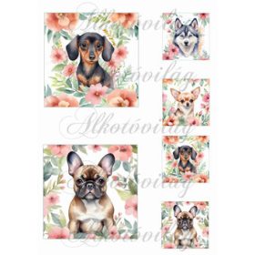   Kutyusok virágokkal 2 - 11 x 11 és 5,5 x 5,5 cm-es négyzetekben