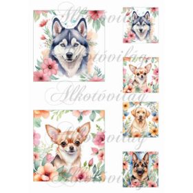   Kutyusok virágokkal 3 - 11 x 11 és 5,5 x 5,5 cm-es négyzetekben