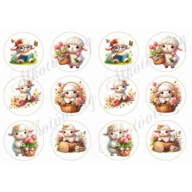 Tüneményes báránykák 6 cm-es körökben