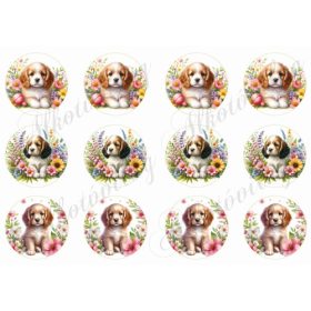 Cuki spániel kölykök virágokkal 6 cm-es körökben
