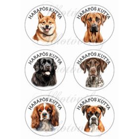 Kutyusok 8,5 cm-es körökben 2 -HARAPÓS KUTYA FELIRATTAL