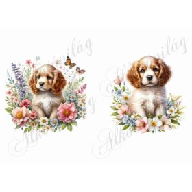   Világos szőrű spániel kutyusok virágokkal és pillangókkal - kb. 12 x 12 cm