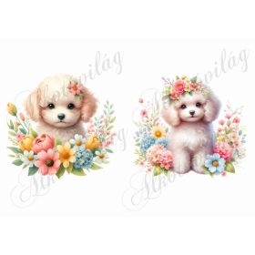   Világos szőrű uszkár kutyusok virágokkal és pillangókkal - kb. 12 x 12 cm