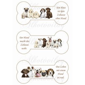 Cuki kutyuscsapat csontokban - német feliratokkal