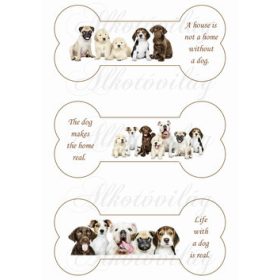 Cuki kutyuscsapat csontokban -angol feliratokkal